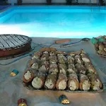 Kennedy Hotel Sant'Alessio Siculo
