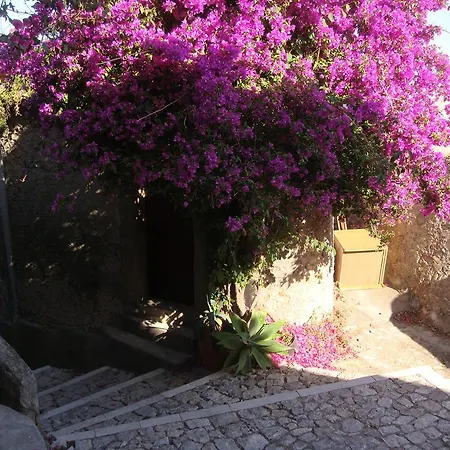Kennedy SantʼAlessio Siculo